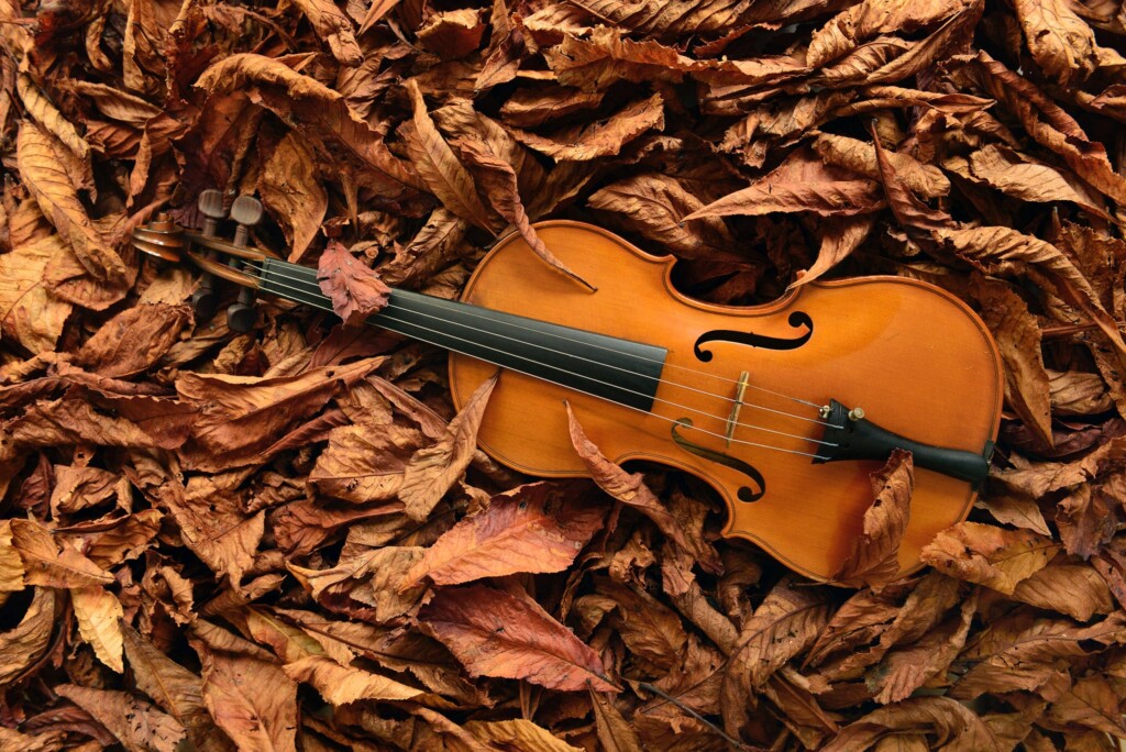 violino d'autunno